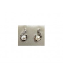 PLATA XERNUS PENDIENTES NF3211