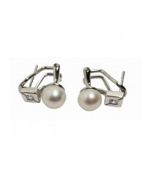 PLATA XERNUS PENDIENTES NF3212