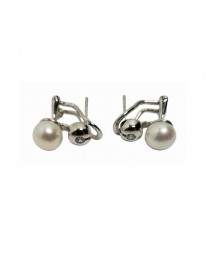 PLATA XERNUS PENDIENTES NF3214