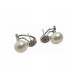 PLATA XERNUS PENDIENTES NF3217
