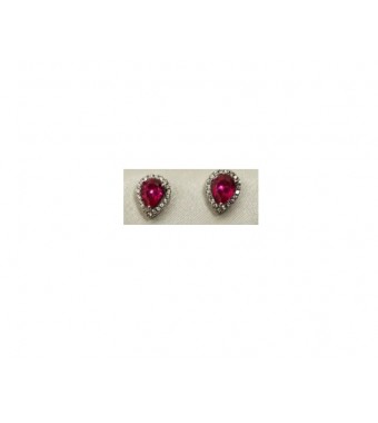 PLATA XERNUS PENDIENTES NF3376