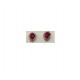 PLATA XERNUS PENDIENTES NF3376