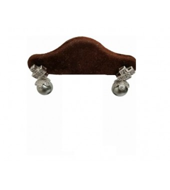 PLATA XERNUS PENDIENTES NF4806