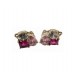 PLATA XERNUS PENDIENTES NF4807